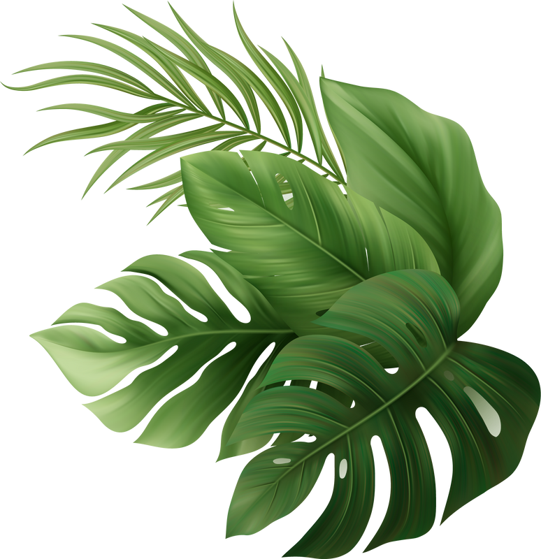 Palm Leaves